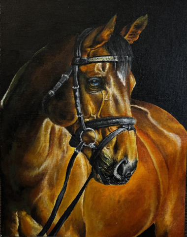 Horse